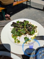 Peas with Burrata